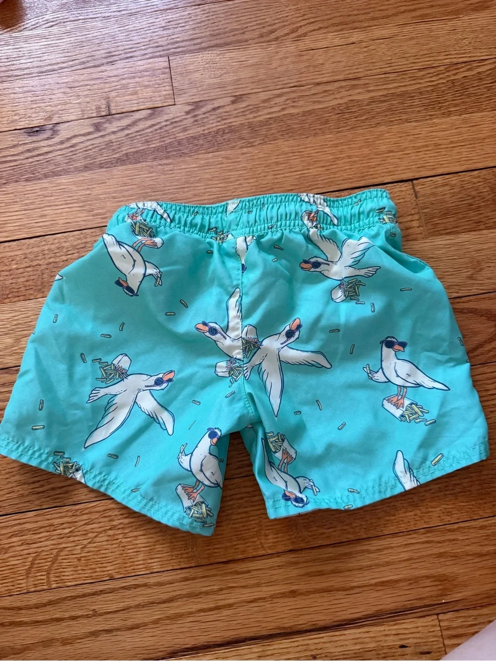 Cat & Jack Toddler Boy Seagull Bathing Suit Size 4T